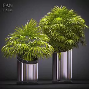 دانلود آبچکت ( object ) گل و گلدان ( flower vase ) مدل 3d موتور رندر 3dsmax vividvisual عکس شماره 26