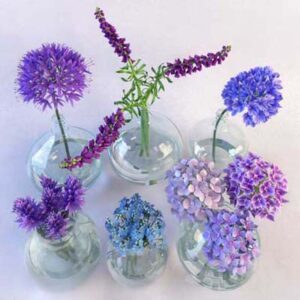 دانلود آبچکت ( object ) گل و گلدان ( flower vase ) مدل سه بعدی برای Vray و Corona ویوید ویژول تصویر شماره 11